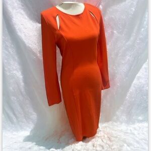 Bar III fitted dress